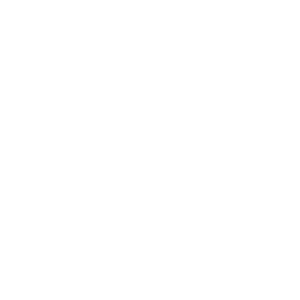 logo prime