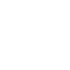 logo prime