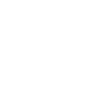 logo prime