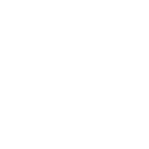 logo prime